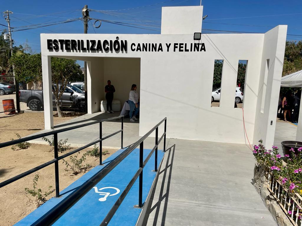 Atiende Gobierno de Los Cabos problemática de perros y gatos en las calles