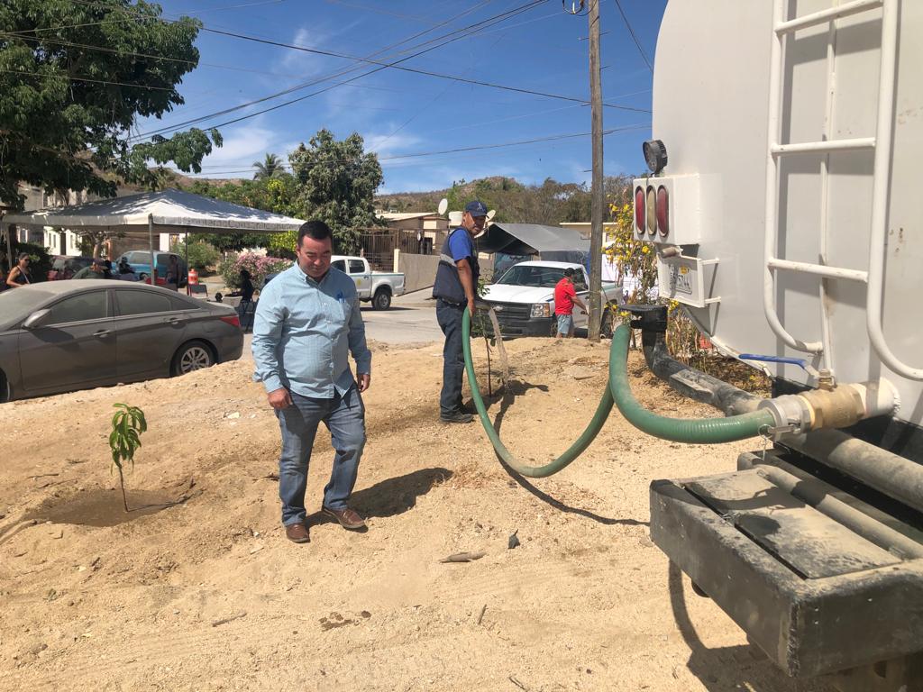 Se han realizado un total de 196 esterilizaciones caninas y felinas en Los Cabos