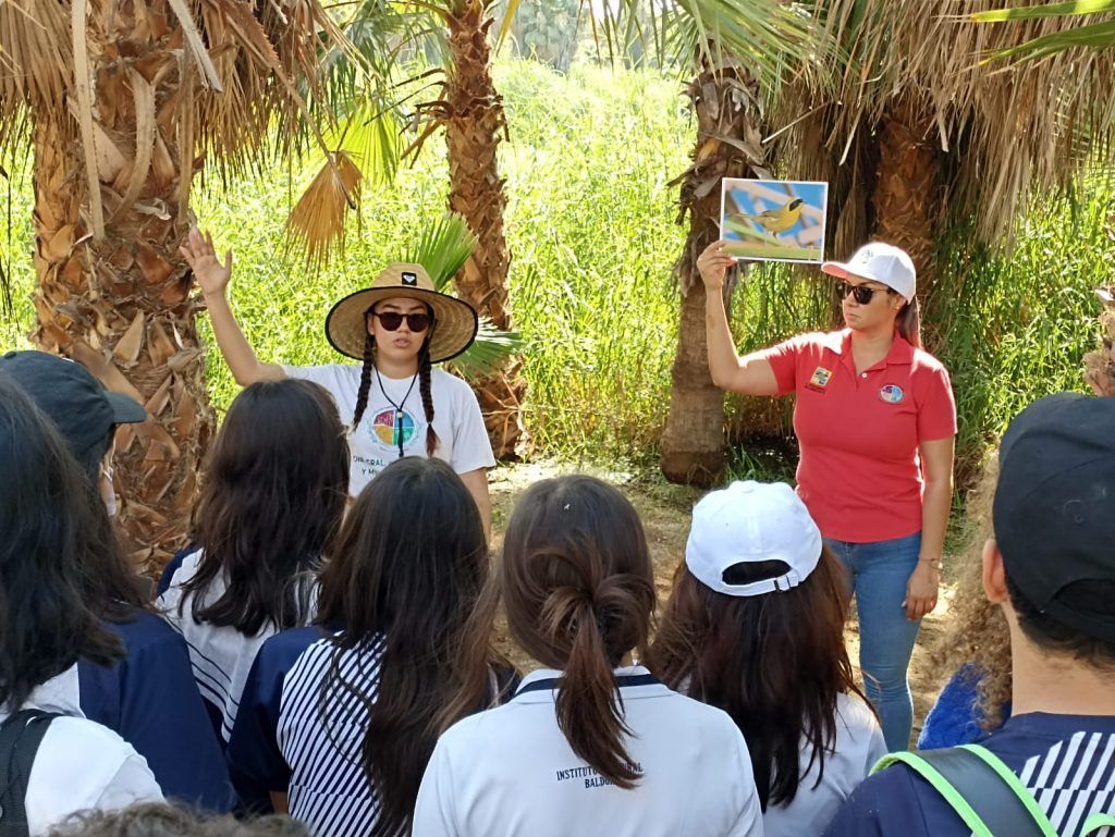 Visitas guiadas: estrategia para la conservación de la Reserva Ecológica Estatal Estero de SJC