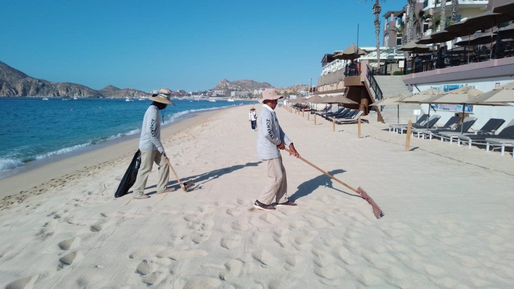 Zofemat Los Cabos mantiene la limpieza permanente de las playas