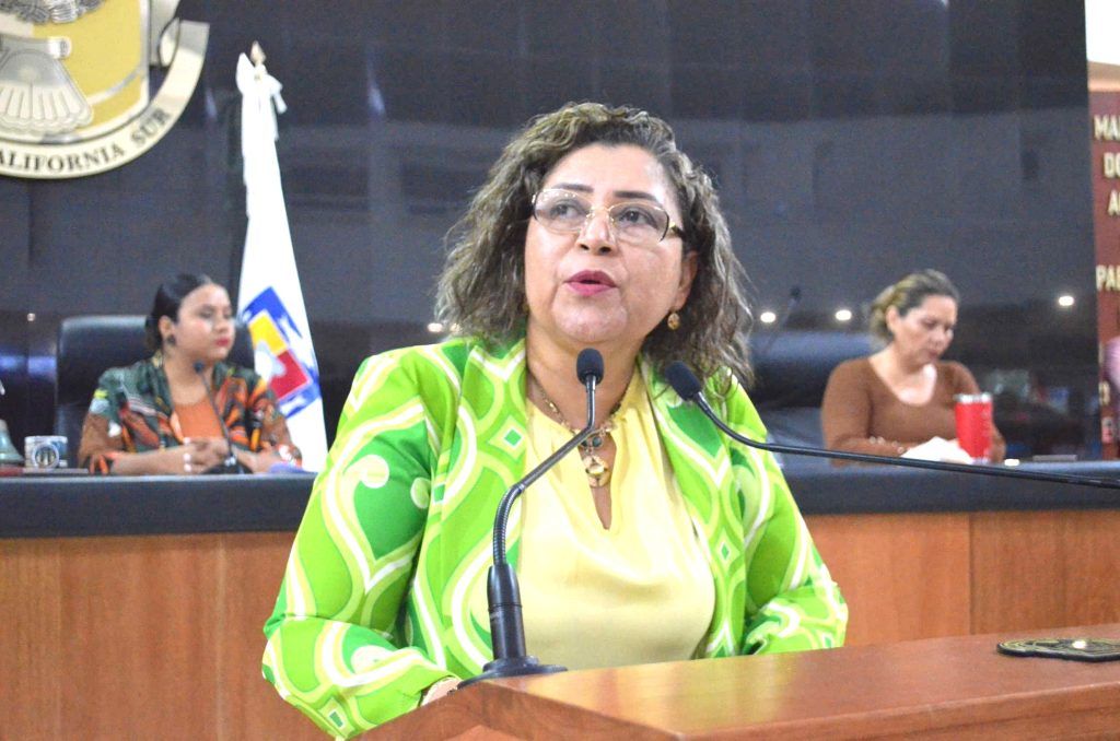 Se pronunció diputada María Luisa Ojeda para que se esclarezca la eliminación de 35 NOMs