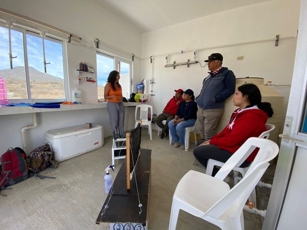 CEA y UABCS trabajan en proyecto de captación de agua por niebla
