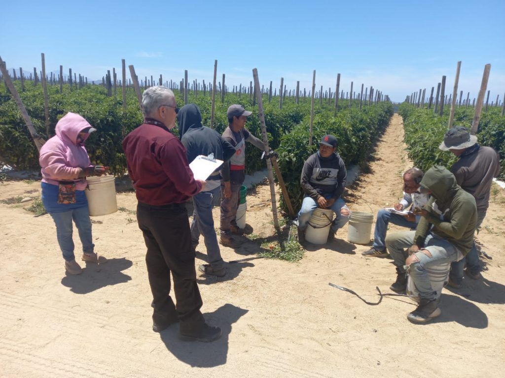 STByDS realiza protocolos de inspección laboral en el estado