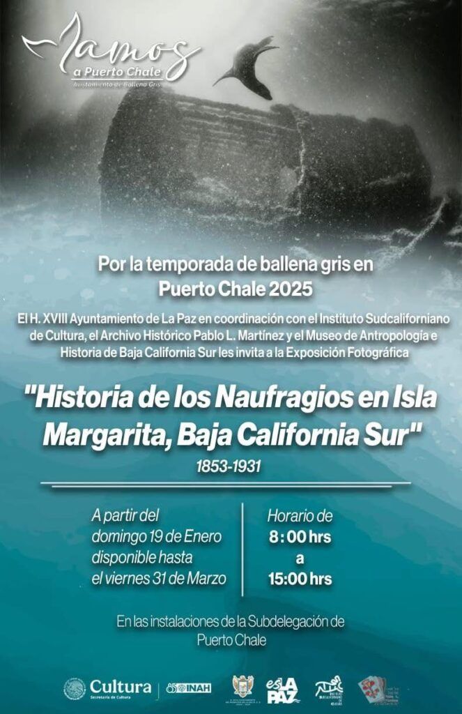 Vestigios submarinos narran más de un siglo de historias en Puerto Chale.