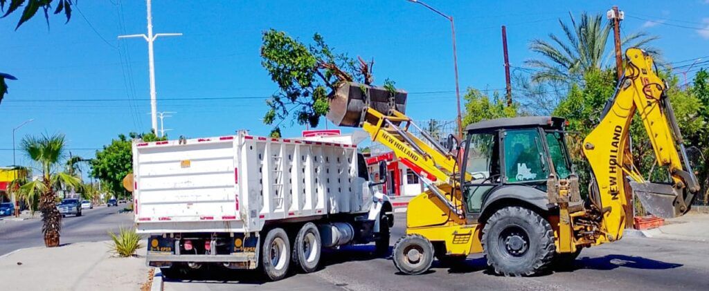 Hierba, restos de poda y basura encabezan los desechos eliminados de parques, bulevares y accesos alternos, gracias al trabajo de Servicios Públicos.