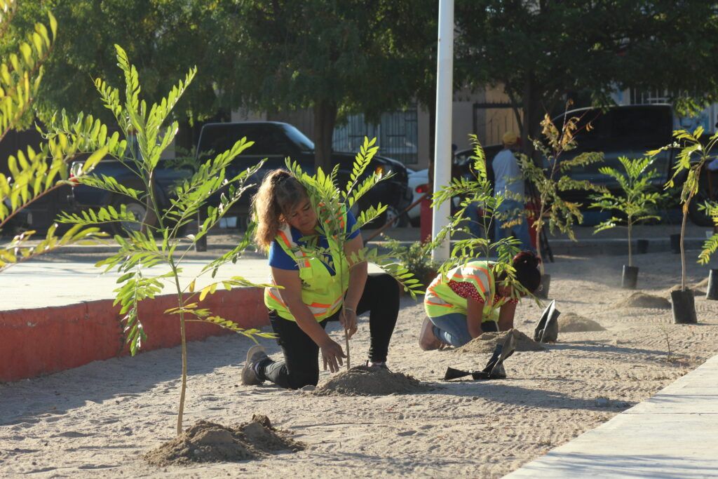 Cisterna en parques y reforestación en colonias destacan como logros del programa ambiental municipal.