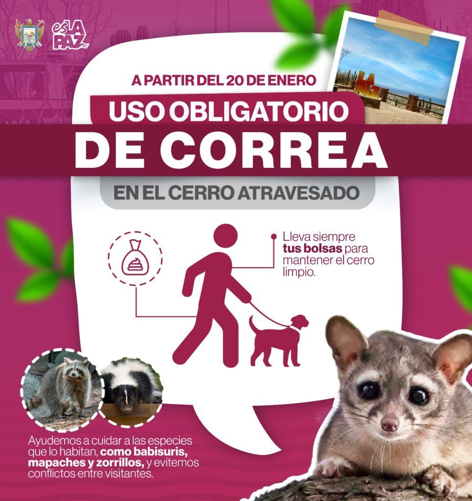 Con el objetivo de cuidar el entorno natural del Cerro Atravesado, se establecerá el uso de correas y recolección de excrementos a partir del 20 de enero.