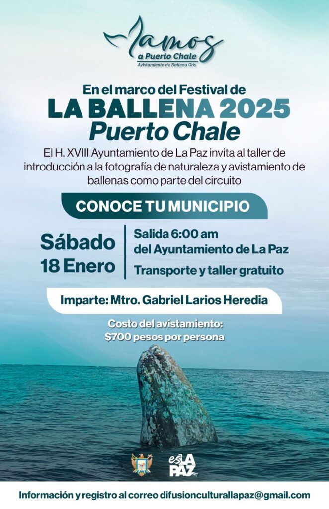 Aprende técnicas de fotografía y retrata a la majestuosa ballena gris el 18 de enero.