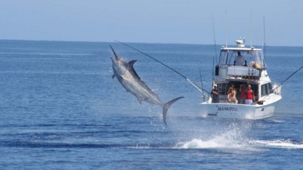 Gobierno estatal, legisladores y sector pesquero se reunirán para definir acciones a favor de la conservación y el desarrollo de la pesca deportiva.