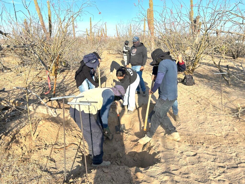 Acciones coordinadas entre la Comisión Estatal de Búsqueda, colectivos y familiares de desaparecidos, dan como resultado el hallazgo de varias fosas en el municipio.