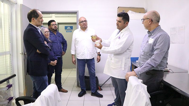 El estado refuerza la prevención con control biológico y nuevas tecnologías sanitarias.