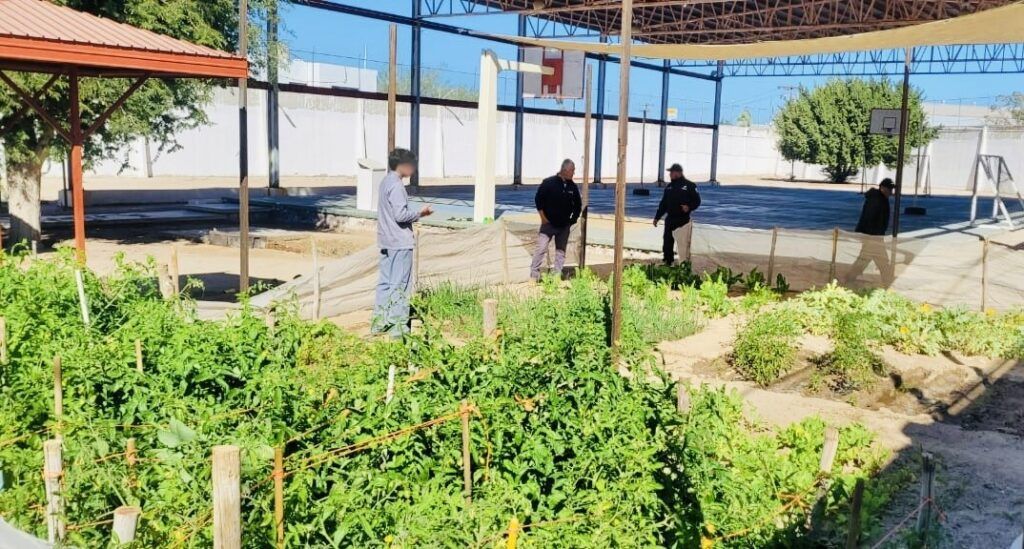 La Brigada de Educación para el Desarrollo Rural No. 55 capacita a los internos en técnicas de siembra, riego y cosecha.