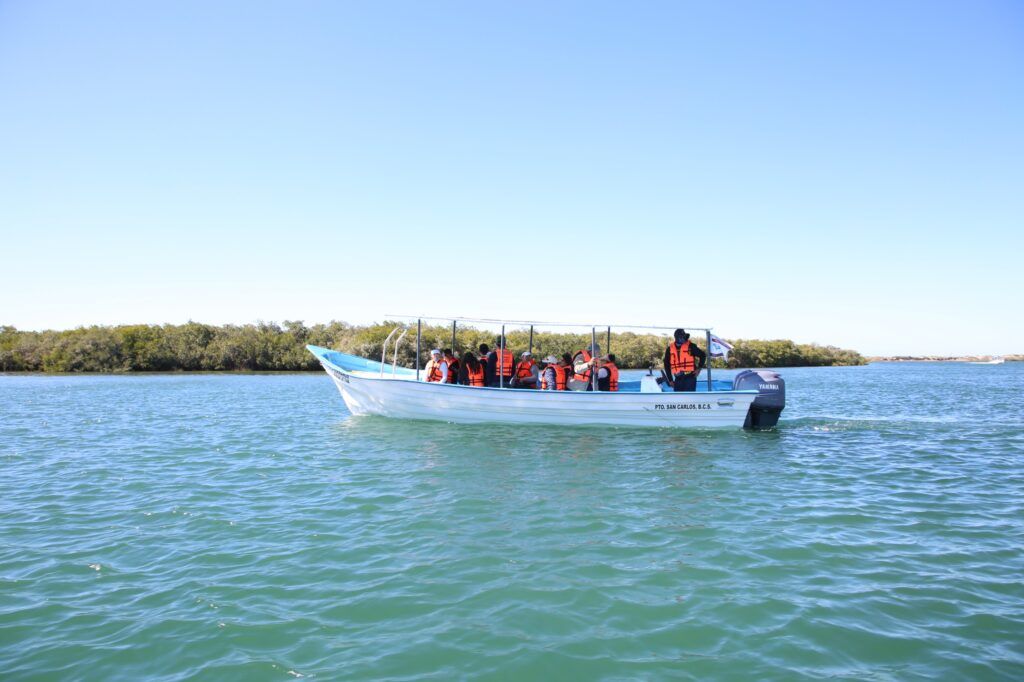 Puerto Chale amplía su oferta con turismo astronómico, pesca deportiva y campismo, promoviendo prácticas responsables.
