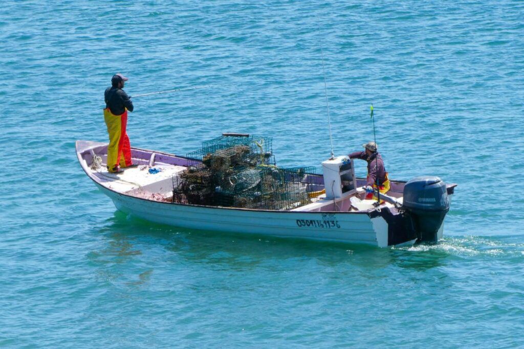 Expertos de ONG denuncian décadas de debilidad institucional que han provocado la sobreexplotación  pesquera y deterioro de especies marinas en México.