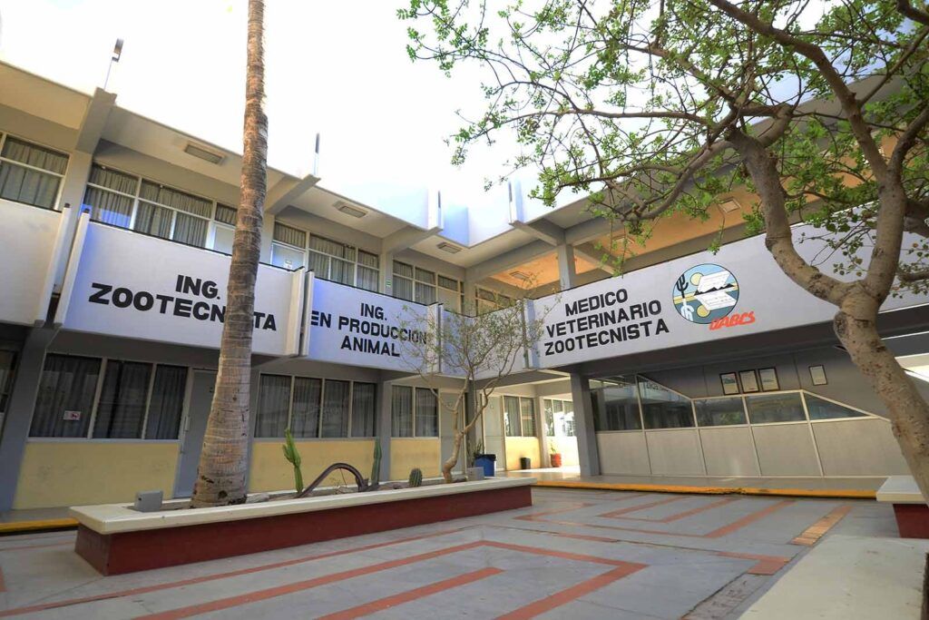 Con más de 20 mil egresados, la UABCS reafirma su compromiso con la comunidad sudcaliforniana.