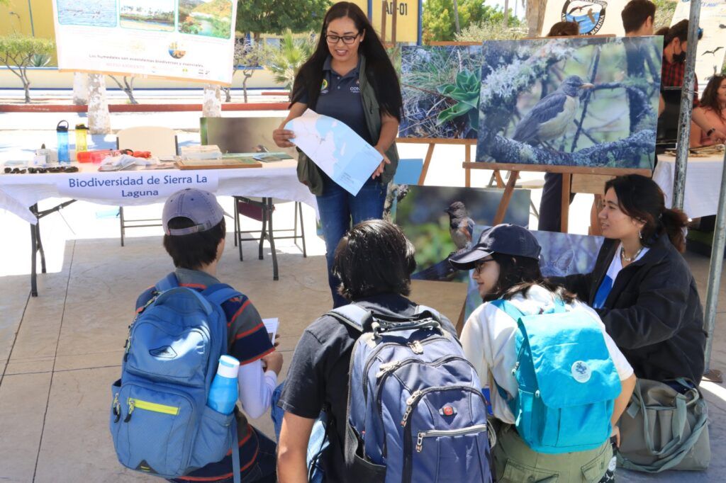 Del 24 al 29 de marzo, el evento Festival de las Aves Playeras contará con talleres, cine, ferias y observaciones guiadas para concienciar sobre la importancia de estos ecosistemas.