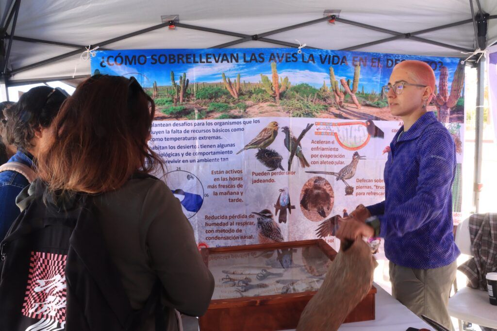 Charlas, actividades interactivas y exhibiciones en el Festival de las Aves promovieron el cuidado de los ecosistemas costeros