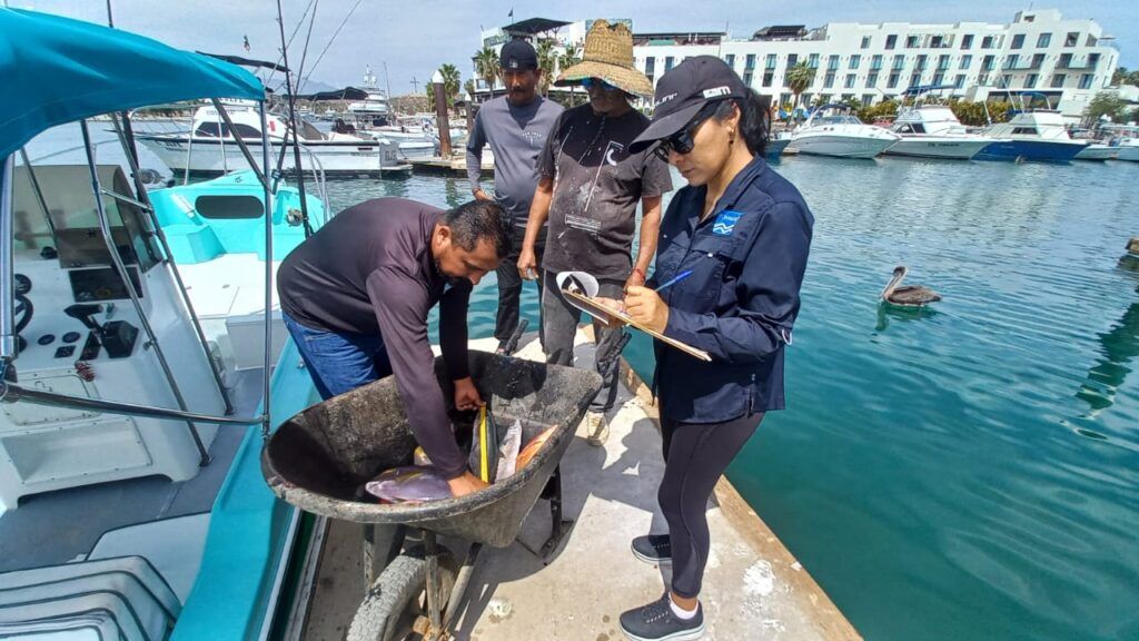 Se han monitoreado especies como jurel, atún, barrilete y pargo en distintos puntos de la entidad.