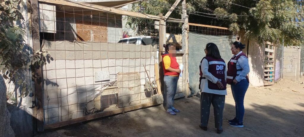 DIF estatal refuerza apoyo con entrega de víveres en los cinco municipios de Baja California Sur