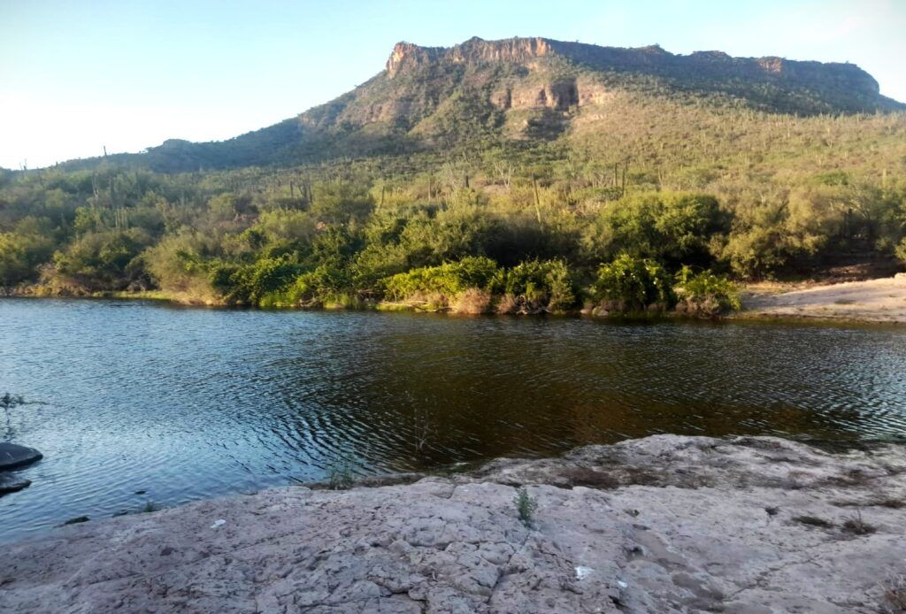 Sistemas de riego por goteo y reposición de pozos, clave para la eficiencia hídrica.