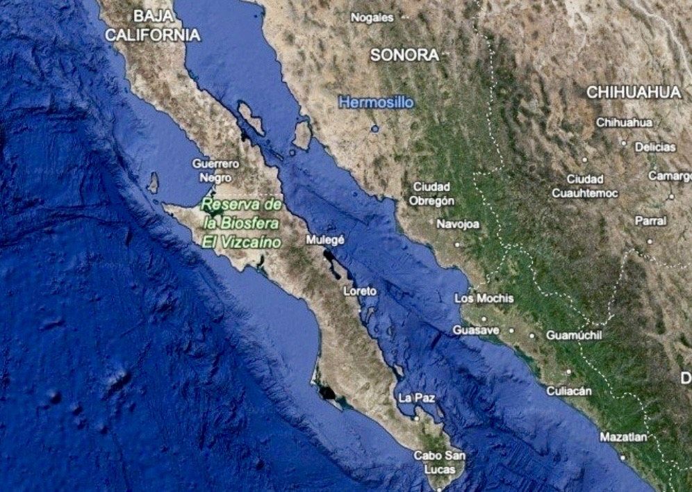 Empresas presionan con megaproyecto gasífero; legisladores y sociedad civil buscan frenar daños irreversibles en el Mar de Cortés