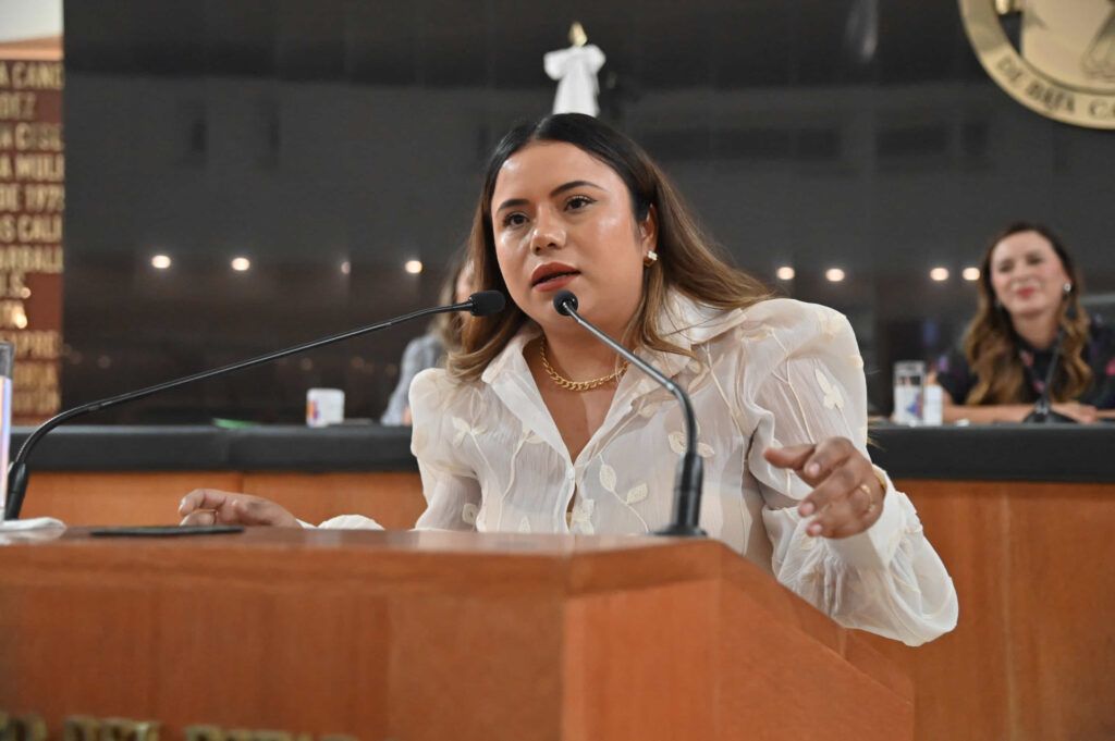 Diputados aprueban exhorto para que el Instituto Para Devolver al Pueblo Lo Robado done aeronaves para atender urgencias en el norte del estado.