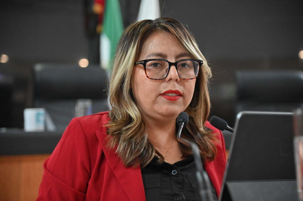 Teresita de Jesús Valentín Vázquez pide medidas más estrictas en servicios de hospedaje y viajes escolares.