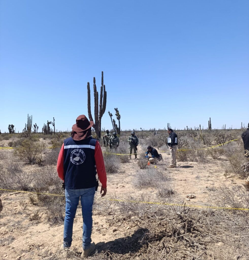 Colectivos de búsqueda, familiares y autoridades trabajan de forma coordinada en el Ejido Gustavo Díaz Ordaz; se activaron los protocolos periciales correspondientes.