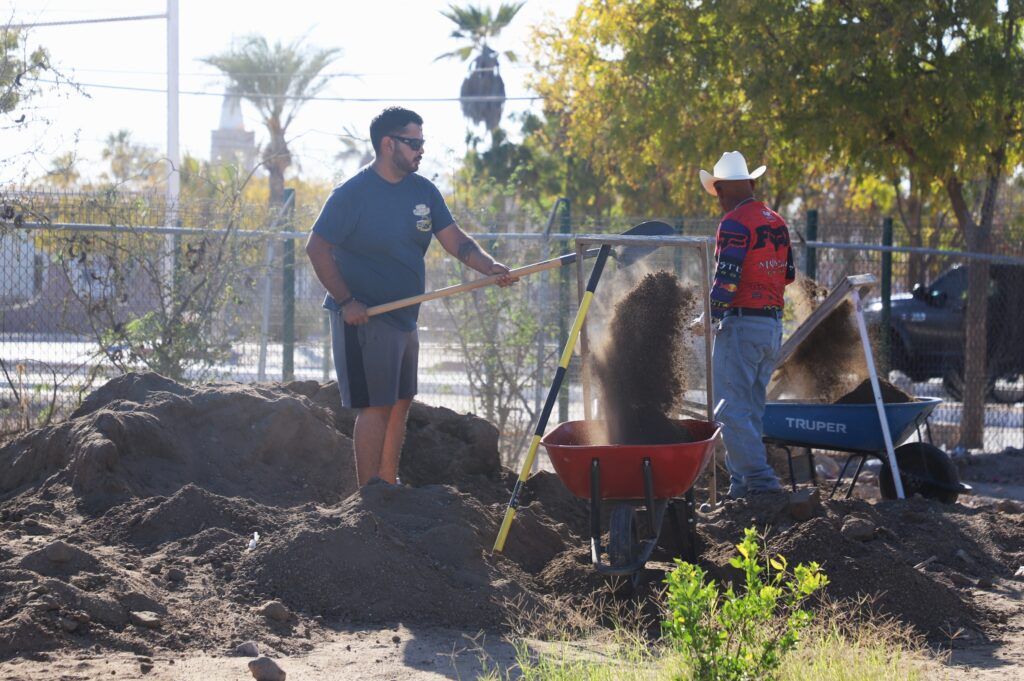 Con apoyo de brigadas rurales en El Centenario, se preparan plantas nativas al entorno local como parte de una estrategia climática.