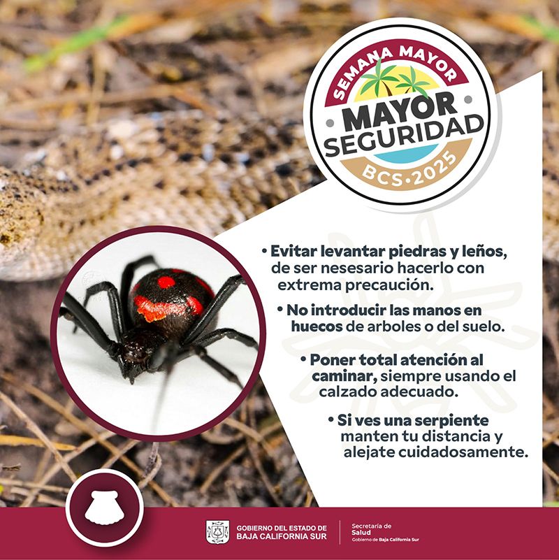 Advierten sobre el riesgo de mordeduras y picaduras ponzoñosas en zonas rurales y costeras, y ofrece protocolos de actuación.