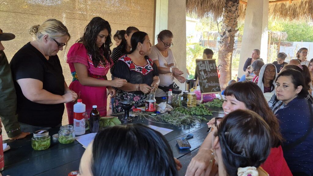 Ciudadanos aprenden sobre tinturas, hierbas y remedios naturales en el taller gratuito de medicina tradicional organizado por el Ayuntamiento de La Paz