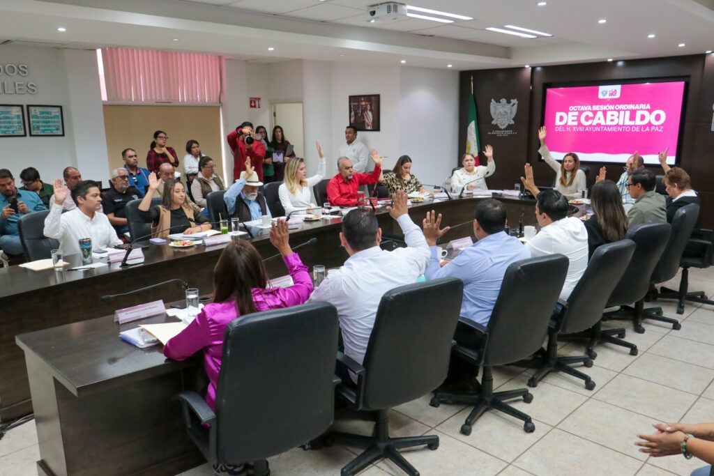 El Cabildo aprobó por unanimidad nuevas disposiciones que agilizan trámites, mejoran la operatividad y preparan la apertura del Mercado Étnico.