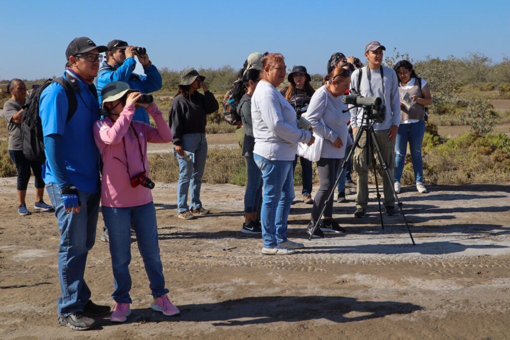 Guías turísticos y prestadores de servicios aprenden sobre la observación de aves y prácticas de conservación con expertos de la UABCS.