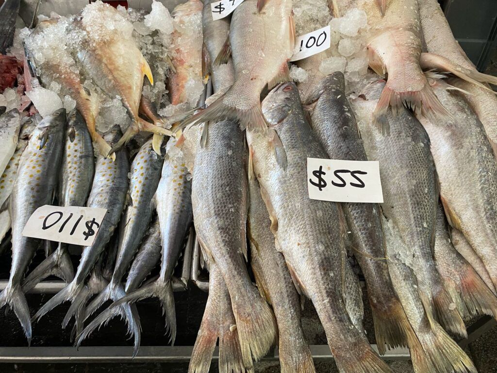 Gato por liebre en el mar: hasta 1 de cada 3 pescados que consumes no es lo que crees