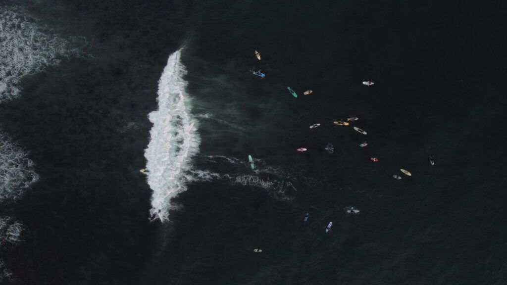 La ampliación del puerto El Sauzal amenaza olas únicas en México; surfistas, ambientalistas y comunidades locales defienden la Bahía de Todos Santos.