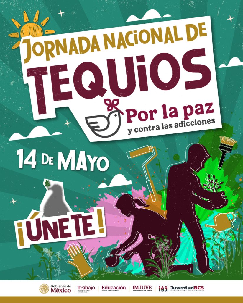 Como parte de la Jornada Nacional de Tequios, el parque paceño será rehabilitado por jóvenes, con mural de Eduardo Leyva “Senok”.