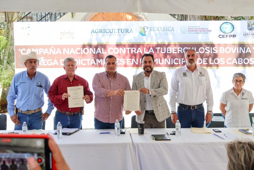 Con la certificación de Los Cabos, suman cuatro municipios libres de la tuberculosis bovina; se busca consolidar la exportación ganadera al mercado estadounidense.
