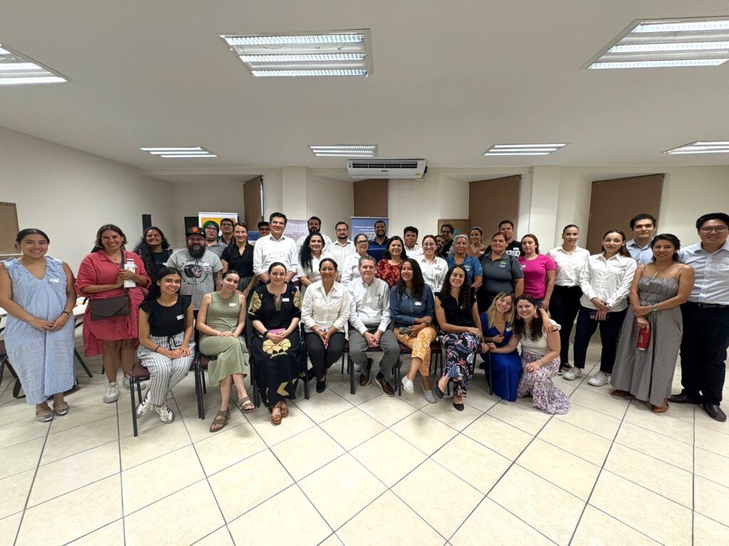 SEPUIMM impulsa taller multisectorial para construir una estrategia energética equitativa y de largo plazo en BCS
