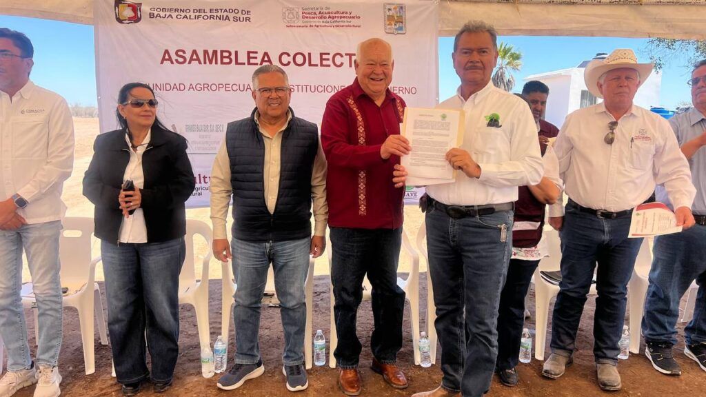 Con pozos rehabilitados, siembra de sorgo y un invernadero de forraje, se busca asegurar alimento para el hato ganadero de Comondú.