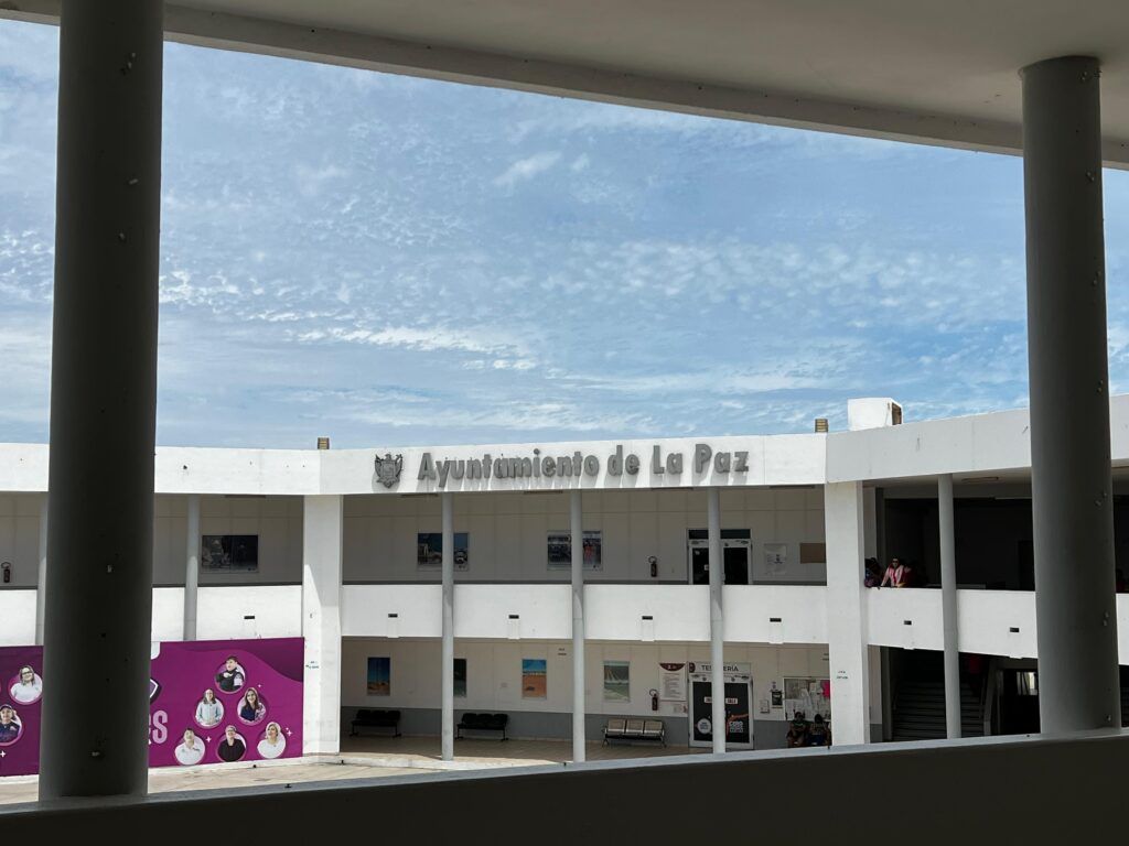 Más de 2 mil establecimientos han sido revisados; se detectaron permisos de alcohol falsos y se busca justicia por daños al erario.