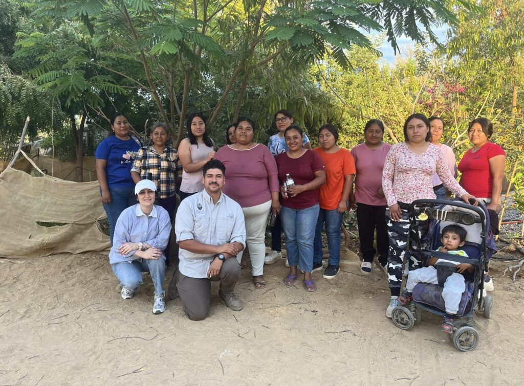 El taller “Mejorando nuestro suelo con agroecología” forma parte del programa Huertos de Traspatio-Mujer Indígena 2025, impulsado por el Ayuntamiento de La Paz.