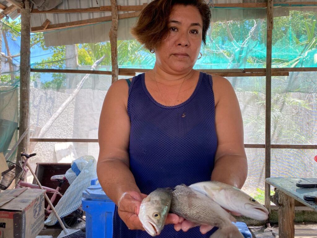 Sin salario fijo, sin apoyos durante la veda y trabajando hasta 15 horas, las fileteras de Yucatán denuncian la invisibilidad y desigualdad de género en la cadena pesquera.