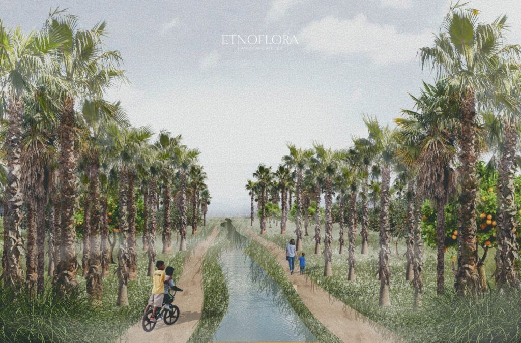 Ante el avance de megaproyectos turísticos e inmobiliarios, habitantes y especialistas impulsan un parque ecológico-cultural que preserve el último oasis costero del Pacífico sudcaliforniano.