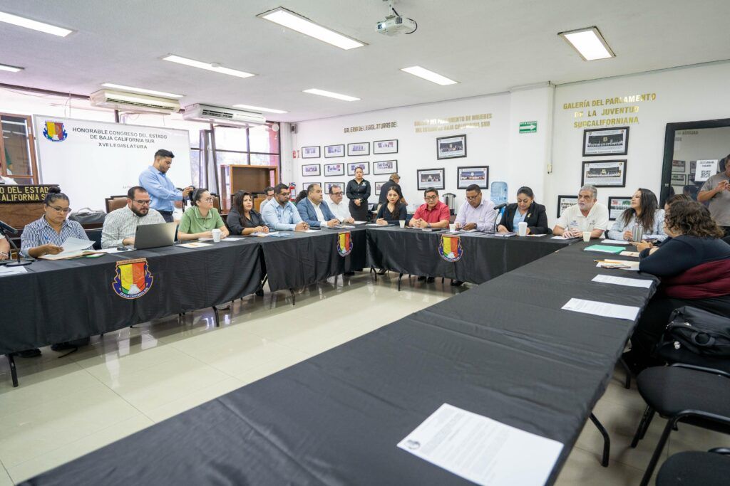 Tras sentencia de la SCJN, se establecen mesas de trabajo para consultas públicas y construcción participativa para la Ley Para la Atención y Protección a Personas con la Condición del Espectro Autista
