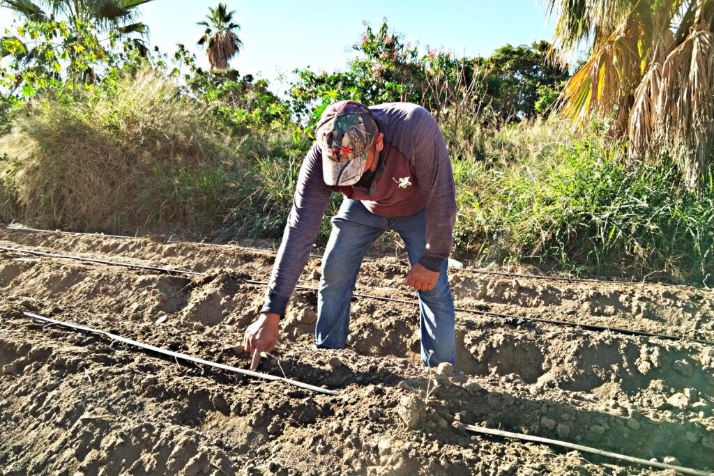 Más de 4 mil hombres y mujeres del campo reciben apoyos para impulsar su productividad y fortalecer la economía rural.