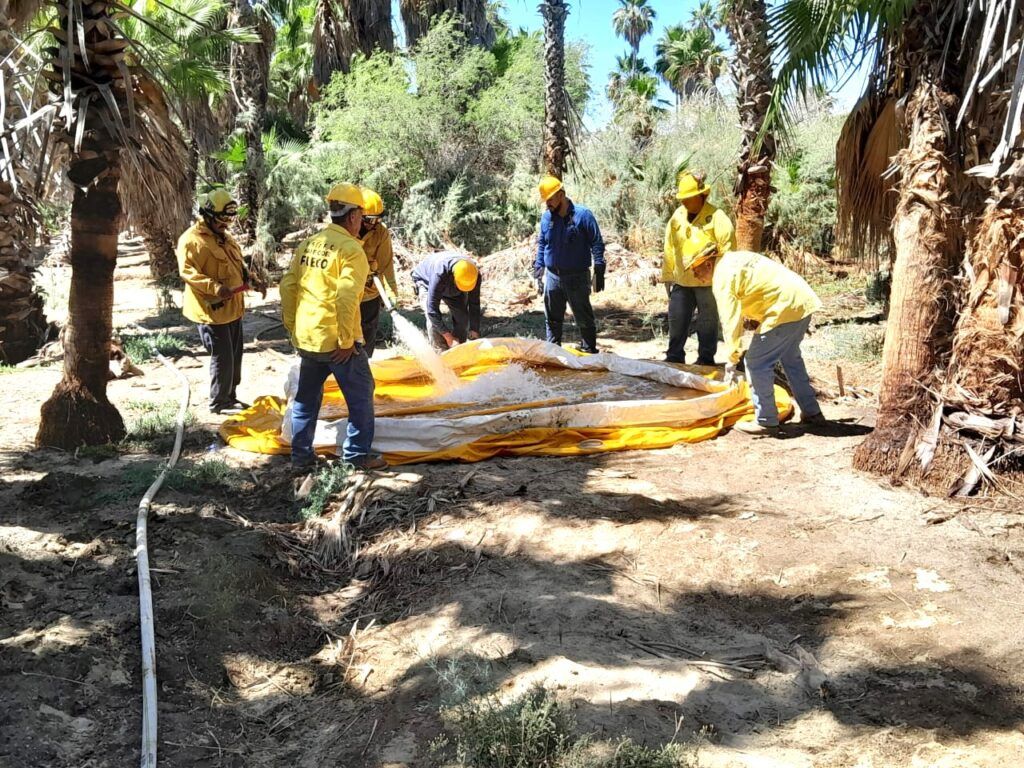 Gobierno del Estado, CONAFOR y CONANP refuerzan estrategias con formación técnica en Santiago y Boca de la Sierra.