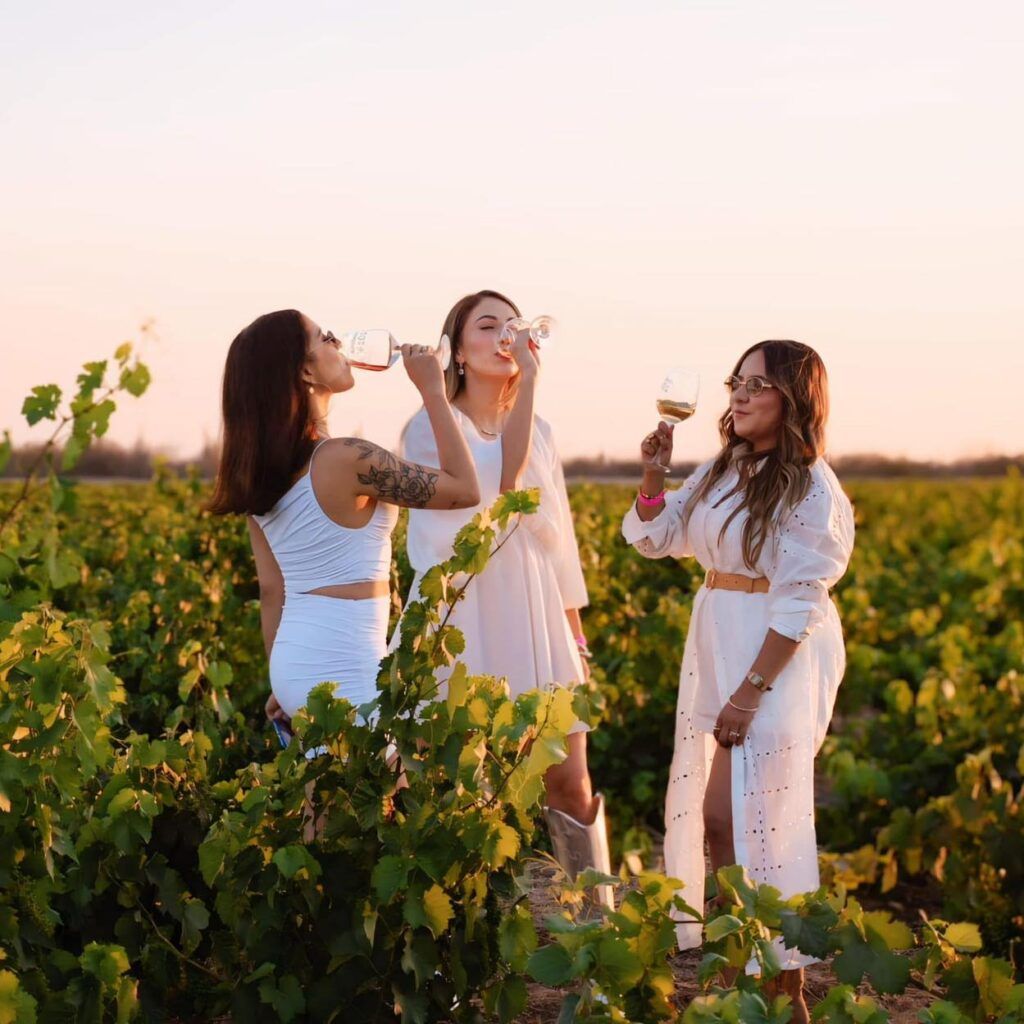 Vino, gastronomía y música en vivo se unen en Desert Wine 5, la fiesta enogastronómica de Ciudad Constitución