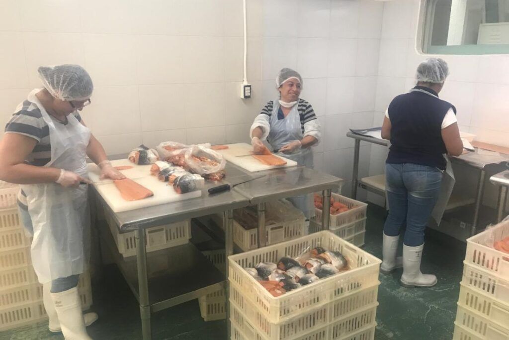 ¿Cómo asegurar que el pescado que llega al supermercado sea legal, inocuo y sustentable? Los intermediarios que procesan y distribuyen pescado enfrentan presiones del mercado y vacíos legales.