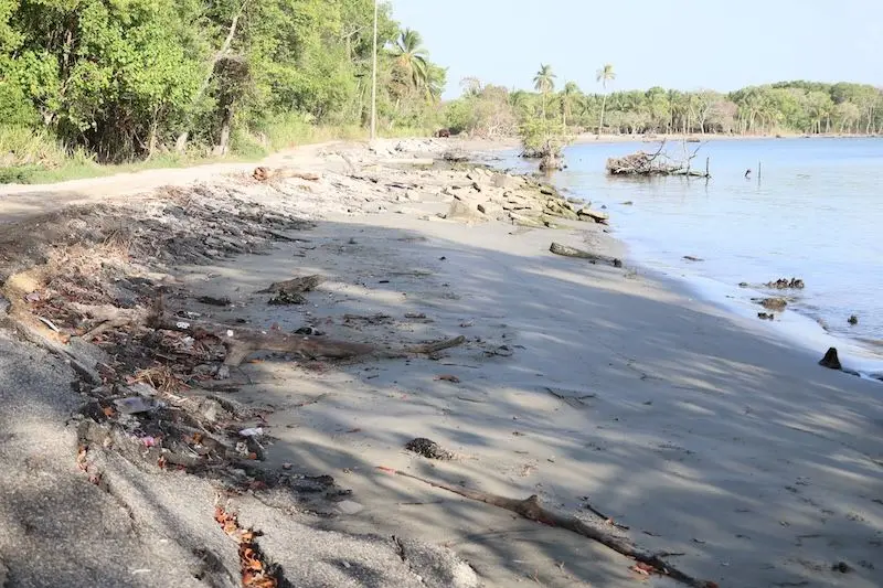 El Bosque fue tragado por el agua, pero sus pescadores siguen en pie. Reubicados, ahora reclaman visibilidad, permisos y derechos frente al abandono institucional.