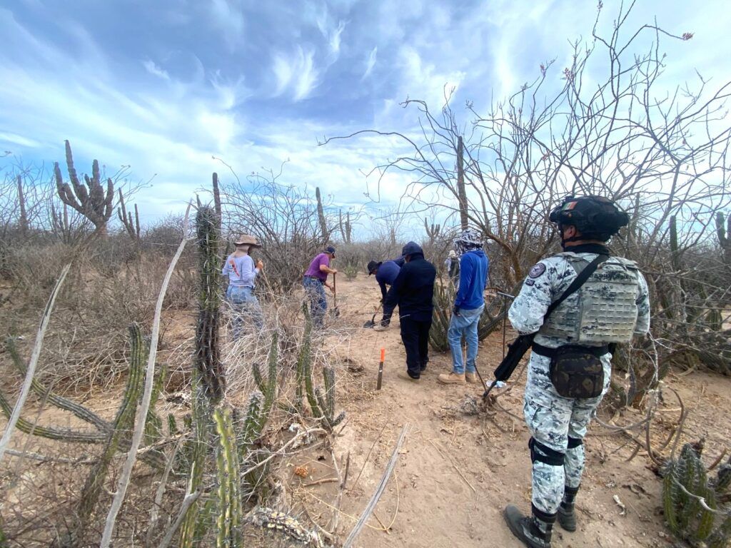 Familiares y colectivos localizaron fosas durante una jornada coordinada con la Comisión Estatal de Búsqueda; la Fiscalía y peritos procesarán los restos para su plena identificación.